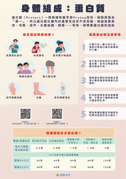 身體組成分析(蛋白質)