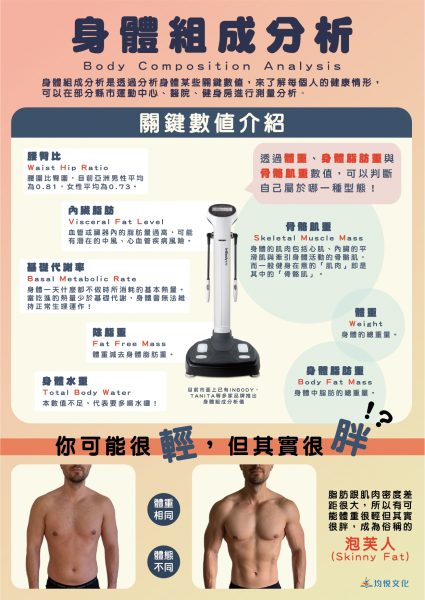 身體組成分析(關鍵數值)